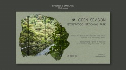 网页元素-保护原始森林banner设计图